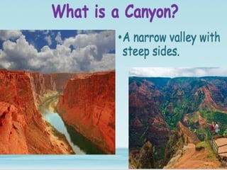 Physical Aspects Examples Physical & Human Characteristics | PPT