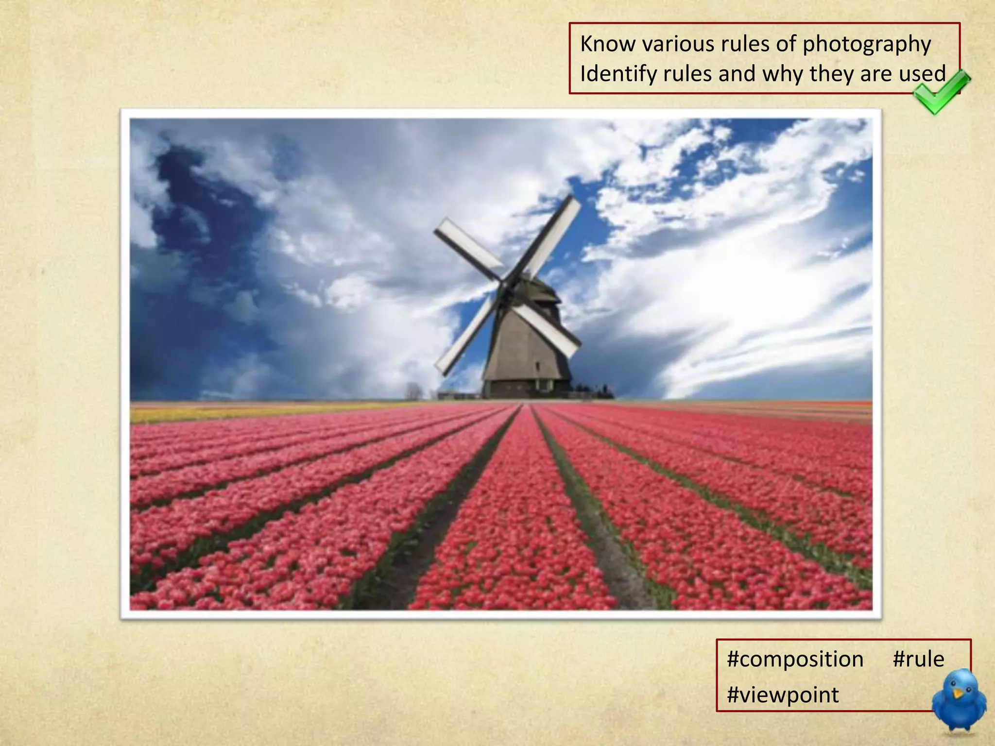Know various rules of photography
Identify rules and why they are used
#composition #rule
#viewpoint