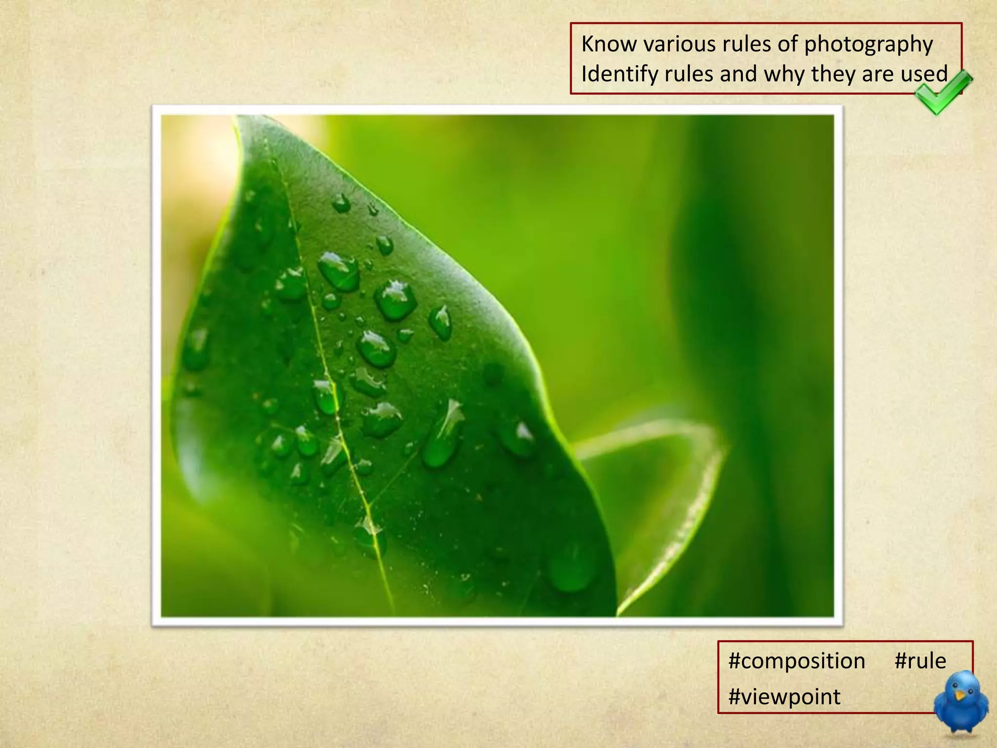 Know various rules of photography
Identify rules and why they are used
#composition #rule
#viewpoint