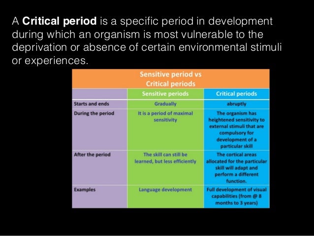 Critical and sensitive periods of child development examples picture