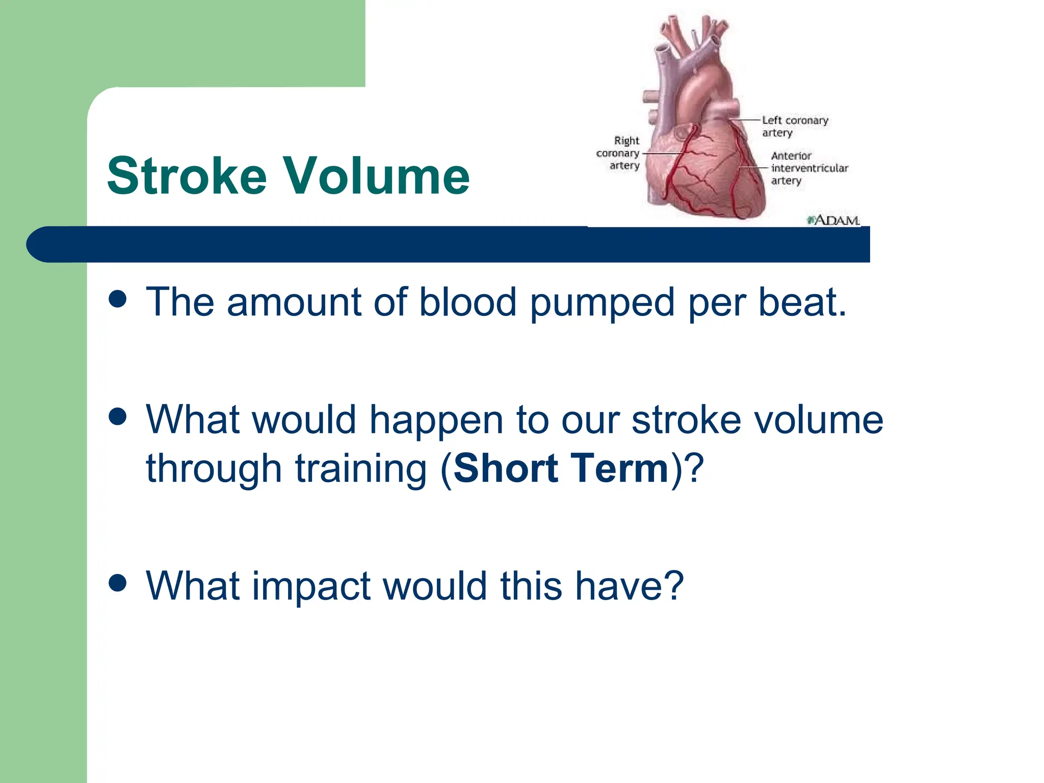 Stroke Volume The amount of blood pumped per beat. What would happen to our stroke volume through training ( Short Term )? What impact would this have? 