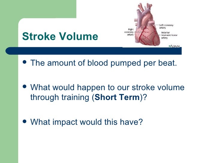 Lesson 2 short term effect (cardiovascular)