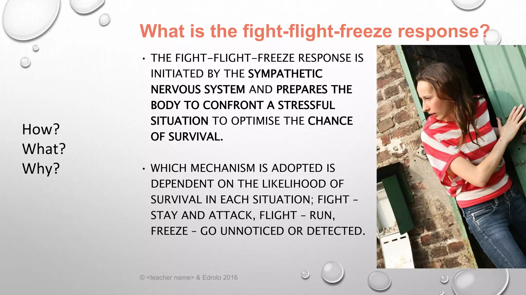 Lesson 2 somatic and autonomic ns | PPTX