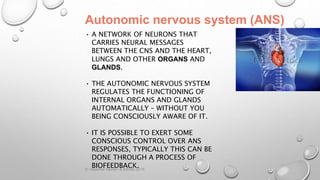 Lesson 2 somatic and autonomic ns | PPTX