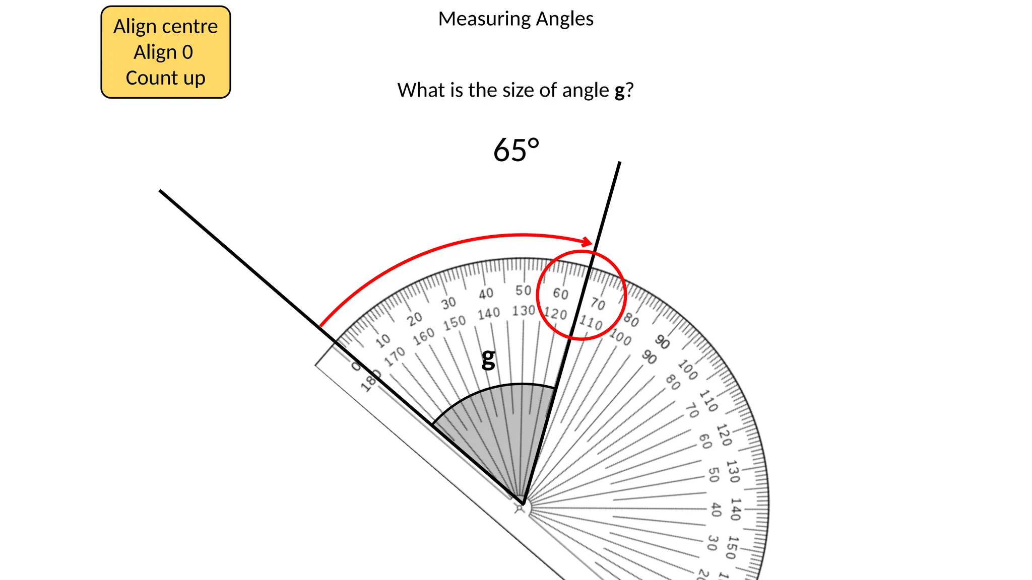 Measuring Angles
Align centre
Align 0
Count up
What is the size of angle g?
65°
g
 