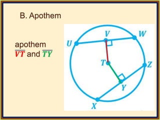 B. Apothem
apothem
𝑽𝑻 and 𝑻𝒀
 