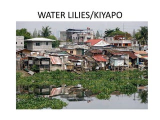 WATER LILIES/KIYAPO