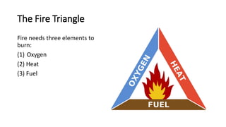 Triangular Flames Lesson 20-24.pptx