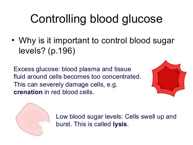 Mrs Abrey Lesson 20 blood sugar