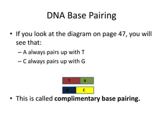 DNA Base Pairing
• If you look at the diagram on page 47, you will
see that:
– A always pairs up with T
– C always pairs up with G
• This is called complimentary base pairing.
T A
G C