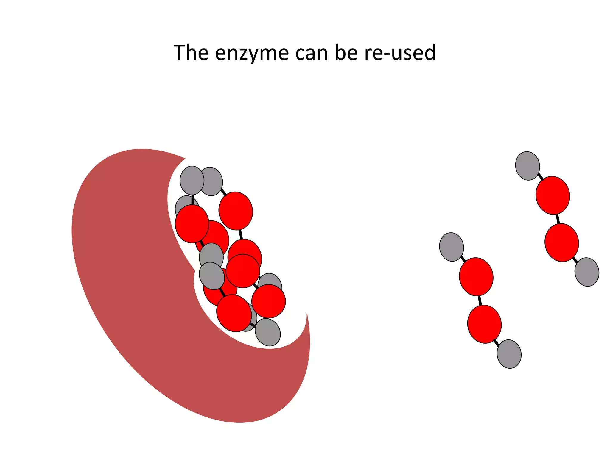 The enzyme can be re-used
 