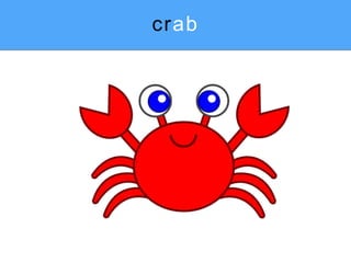 crab
 