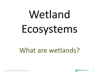 Wetland 
Ecosystems 
What are wetlands? 
© Copyright 2012 The Aquaponic Source, Inc. 1 
 