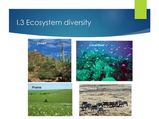 I.3 Ecosystem diversity
 