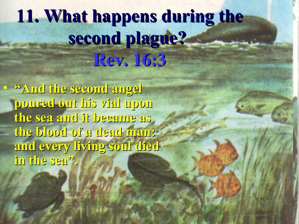 Lesson 22 revelation seminars the seven plagues of revelation