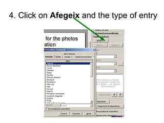 4. Click on Afegeix and the type of entry
