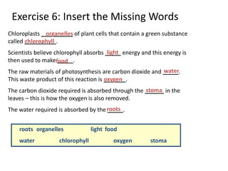 Exercise 6: Insert the Missing Words
Chloroplasts __________ of plant cells that contain a green substance
called __________.
Scientists believe chlorophyll absorbs _____ energy and this energy is
then used to make _____.
The raw materials of photosynthesis are carbon dioxide and _____.
This waste product of this reaction is _______.
The carbon dioxide required is absorbed through the ______ in the
leaves – this is how the oxygen is also removed.
The water required is absorbed by the _____.
roots organelles light food
water chlorophyll oxygen stoma
organelles
chlorophyll
light
food
water
oxygen
stoma
roots
 