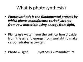 What is photosynthesis?
• Photosynthesis is the fundamental process by
which plants manufacture carbohydrates
from raw materials using energy from light.
• Plants use water from the soil, carbon dioxide
from the air and energy from sunlight to make
carbohydrates & oxygen.
• Photo = Light synthesis = manufacture
 