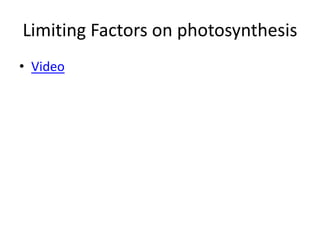 Limiting Factors on photosynthesis
• Video
 