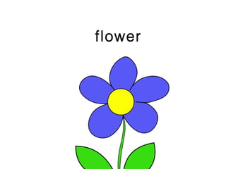 flower
 