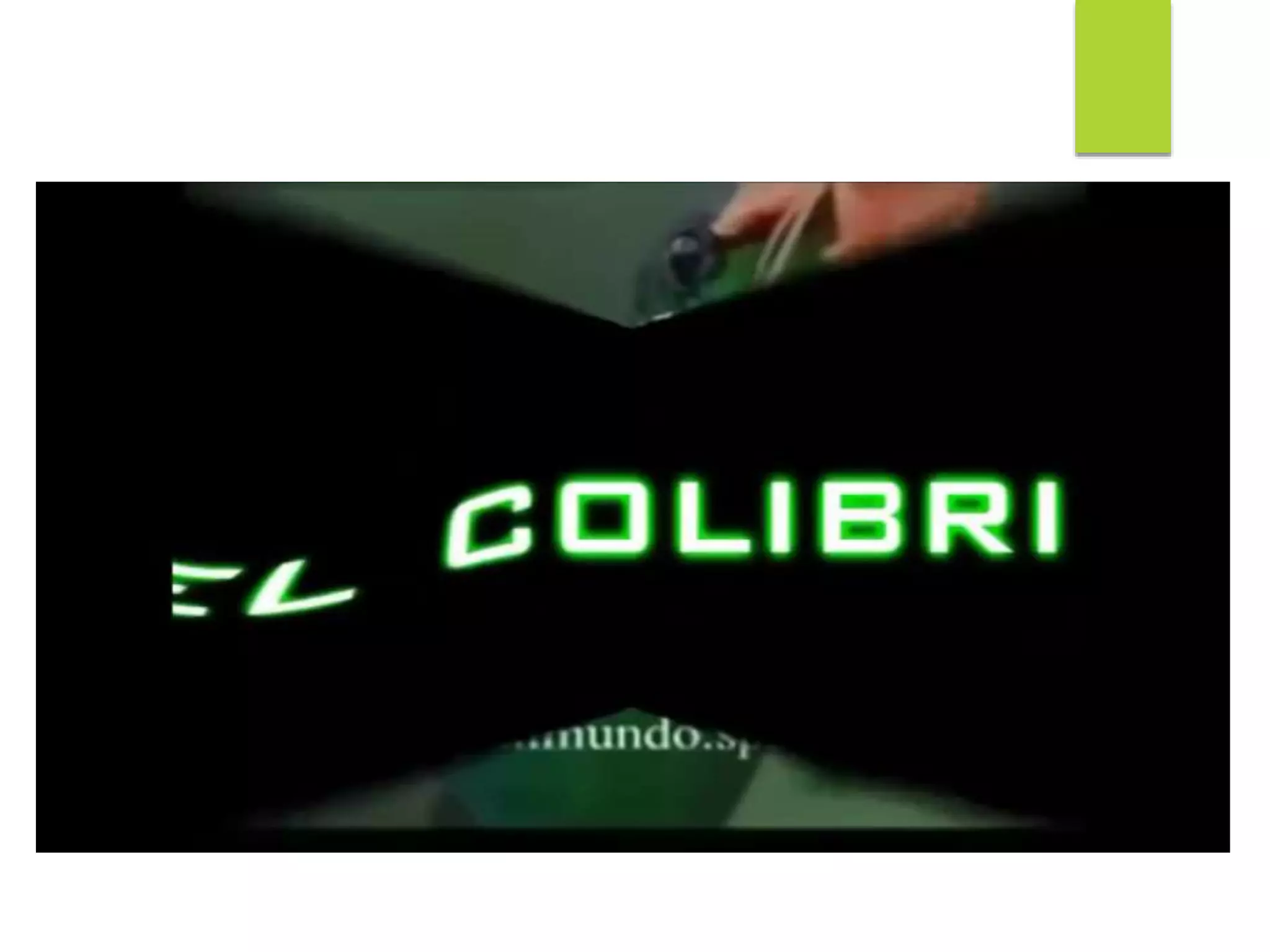 Lesson 24 ecological niche