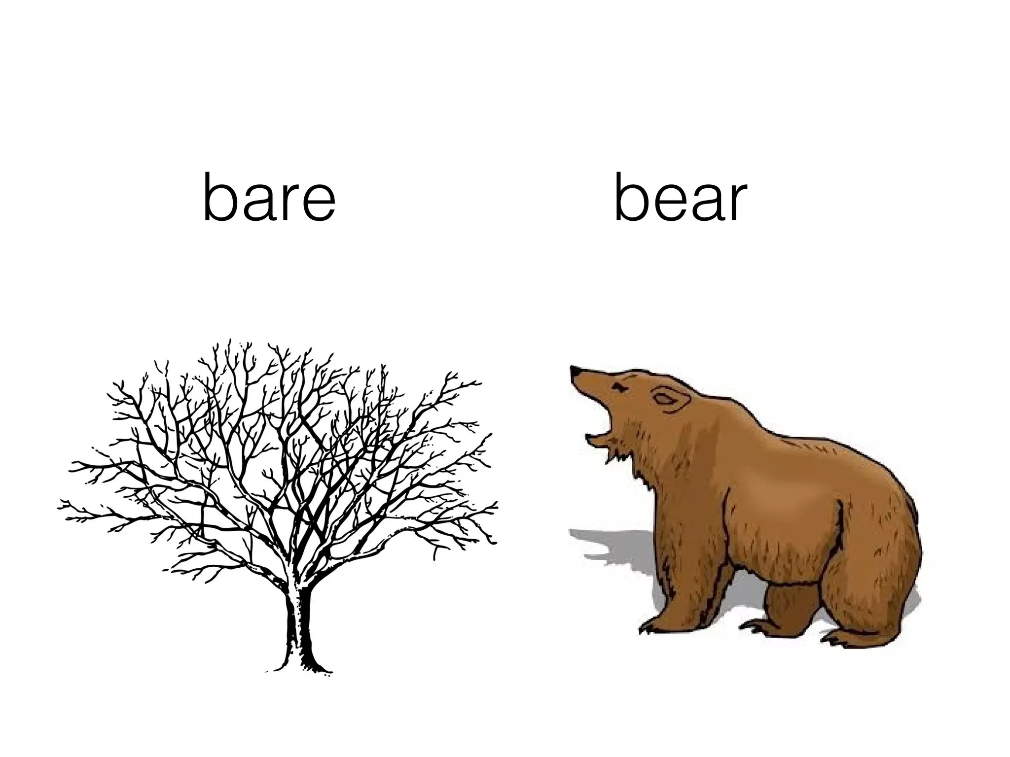 bare bear