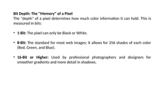 Basics of pixel, raster & vector and photoshop | PPTX