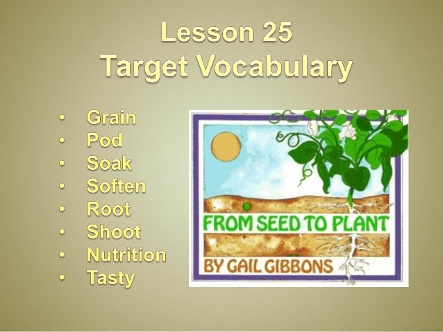 Lesson 25 From Seed To Plant 4th Basic