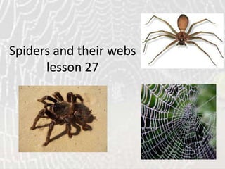 Spiders and their webs
lesson 27
 