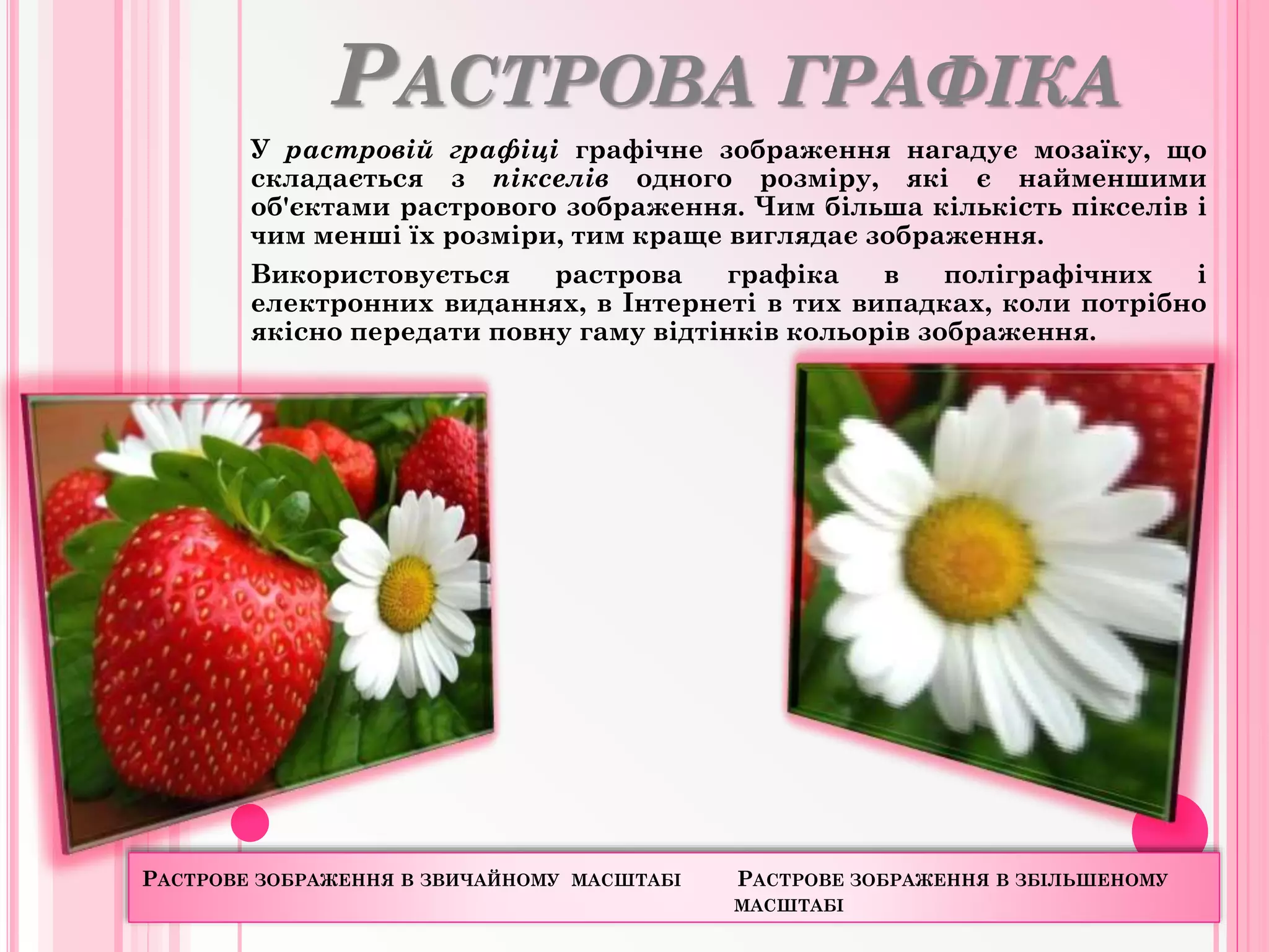 РАСТРОВА ГРАФІКА
У растровій графіці графічне зображення нагадує мозаїку, що
складається з пікселів одного розміру, які є найменшими
об'єктами растрового зображення. Чим більша кількість пікселів і
чим менші їх розміри, тим краще виглядає зображення.
Використовується растрова графіка в поліграфічних і
електронних виданнях, в Інтернеті в тих випадках, коли потрібно
якісно передати повну гаму відтінків кольорів зображення.
РАСТРОВЕ ЗОБРАЖЕННЯ В ЗВИЧАЙНОМУ МАСШТАБІ РАСТРОВЕ ЗОБРАЖЕННЯ В ЗБІЛЬШЕНОМУ
МАСШТАБІ
 