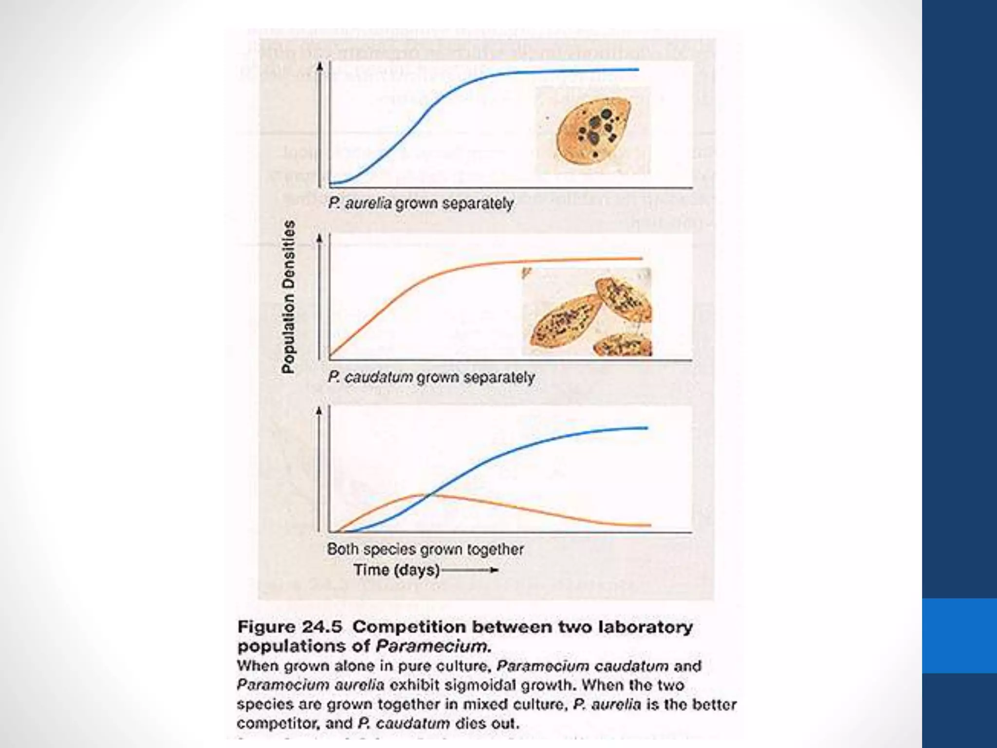 Lesson 28 changes in the ecosystems