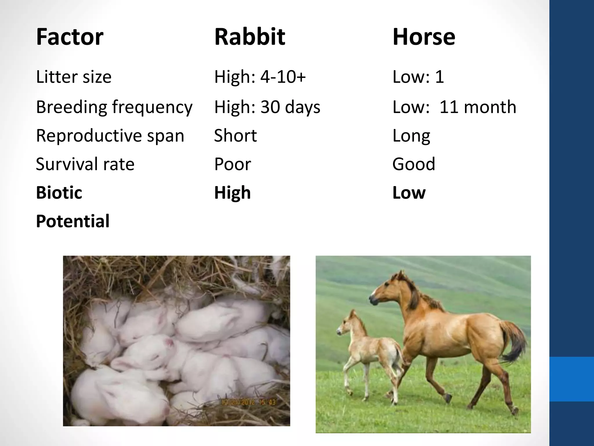 Factor Rabbit Horse
Litter size High: 4-10+ Low: 1
Breeding frequency High: 30 days Low: 11 month
Reproductive span Short Long
Survival rate Poor Good
Biotic High Low
Potential
 