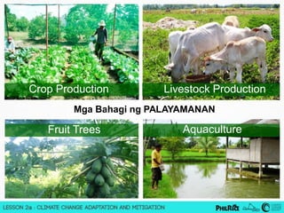 Mga Bahagi ng PALAYAMANAN 
Crop Production 
Livestock Production 
Fruit Trees 
Aquaculture  