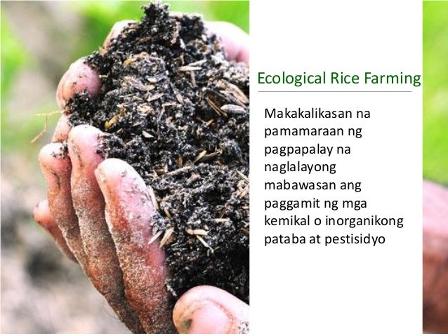 Halimbawa Ng Organikong Pataba Climate Change: Adaptation and Mitigation - Palayamanan
