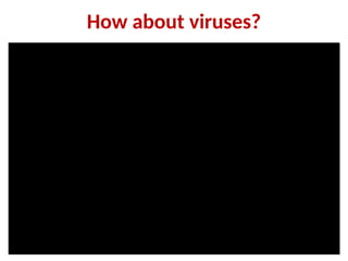 How about viruses?
 