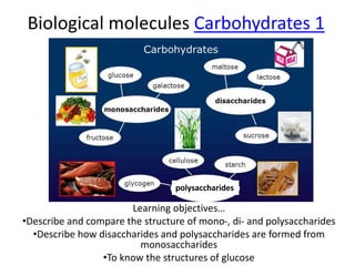 Lesson 2 carbohydrates | PPTX | Chemistry | Science