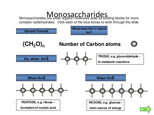 lesson-2-carbohydrates