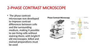 Contrast Science CELL STRUCTURE for the microorganism .pptx
