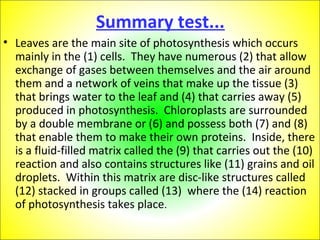 Summary test... 
• Leaves are the main site of photosynthesis which occurs 
mainly in the (1) cells. They have numerous (2) that allow 
exchange of gases between themselves and the air around 
them and a network of veins that make up the tissue (3) 
that brings water to the leaf and (4) that carries away (5) 
produced in photosynthesis. Chloroplasts are surrounded 
by a double membrane or (6) and possess both (7) and (8) 
that enable them to make their own proteins. Inside, there 
is a fluid-filled matrix called the (9) that carries out the (10) 
reaction and also contains structures like (11) grains and oil 
droplets. Within this matrix are disc-like structures called 
(12) stacked in groups called (13) where the (14) reaction 
of photosynthesis takes place. 
 