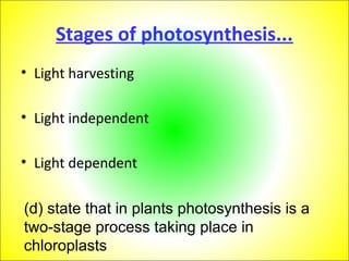 Stages of photosynthesis... 
• Light harvesting 
• Light independent 
• Light dependent 
(d) state that in plants photosynthesis is a 
two-stage process taking place in 
chloroplasts 
 