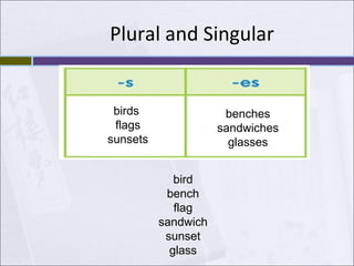 Plural and Singular bird bench flag sandwich sunset glass birds  flags sunsets benches sandwiches glasses 