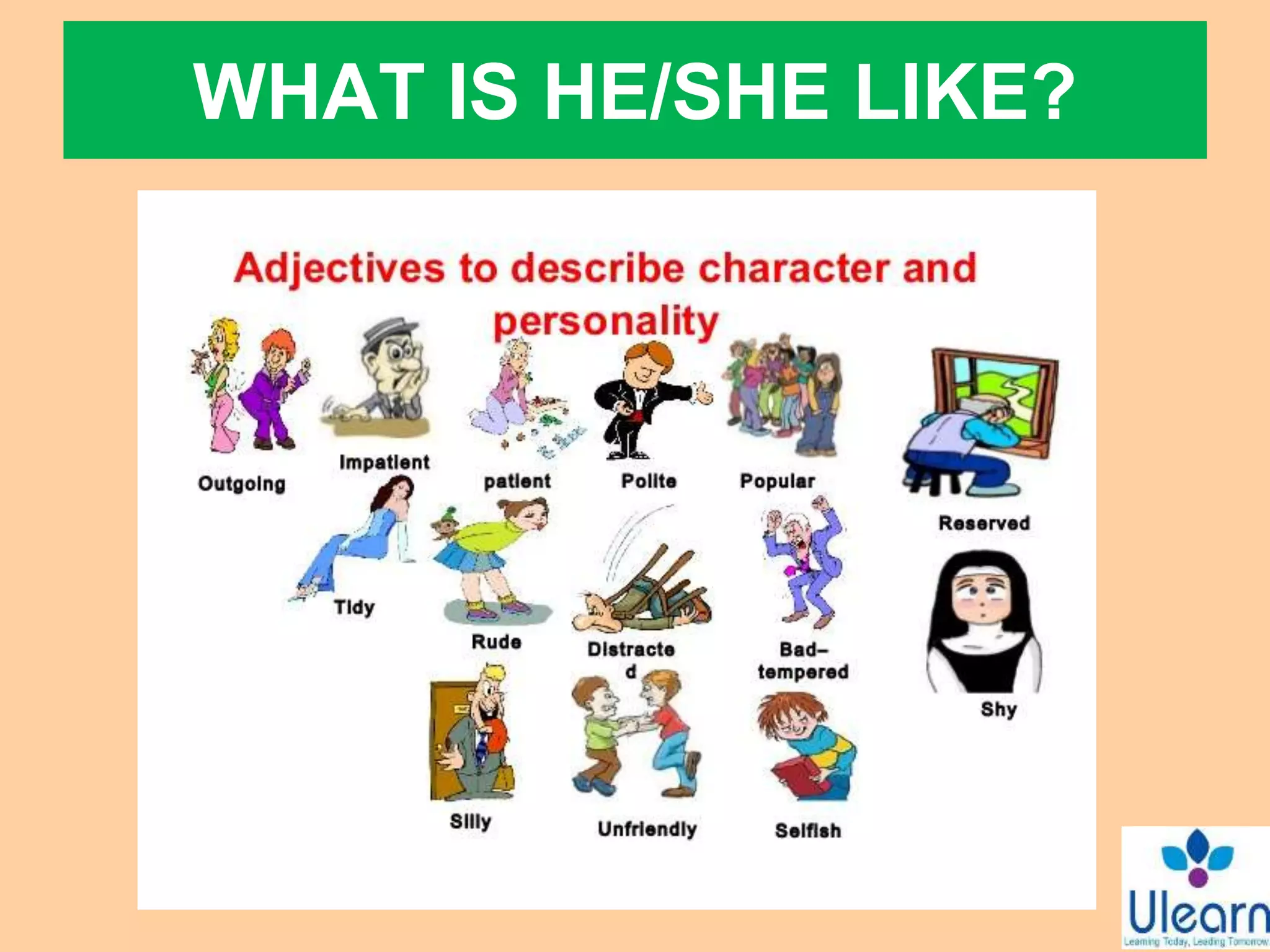 Lesson 2 describing people | PPTX