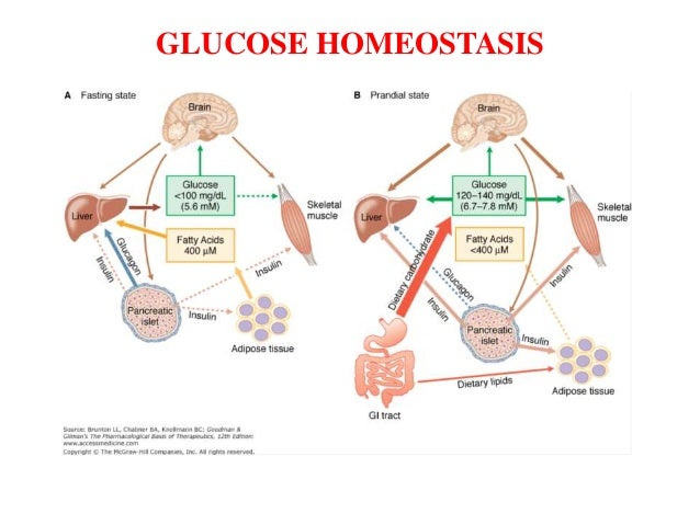diabetes mellitus diabetes mellitus