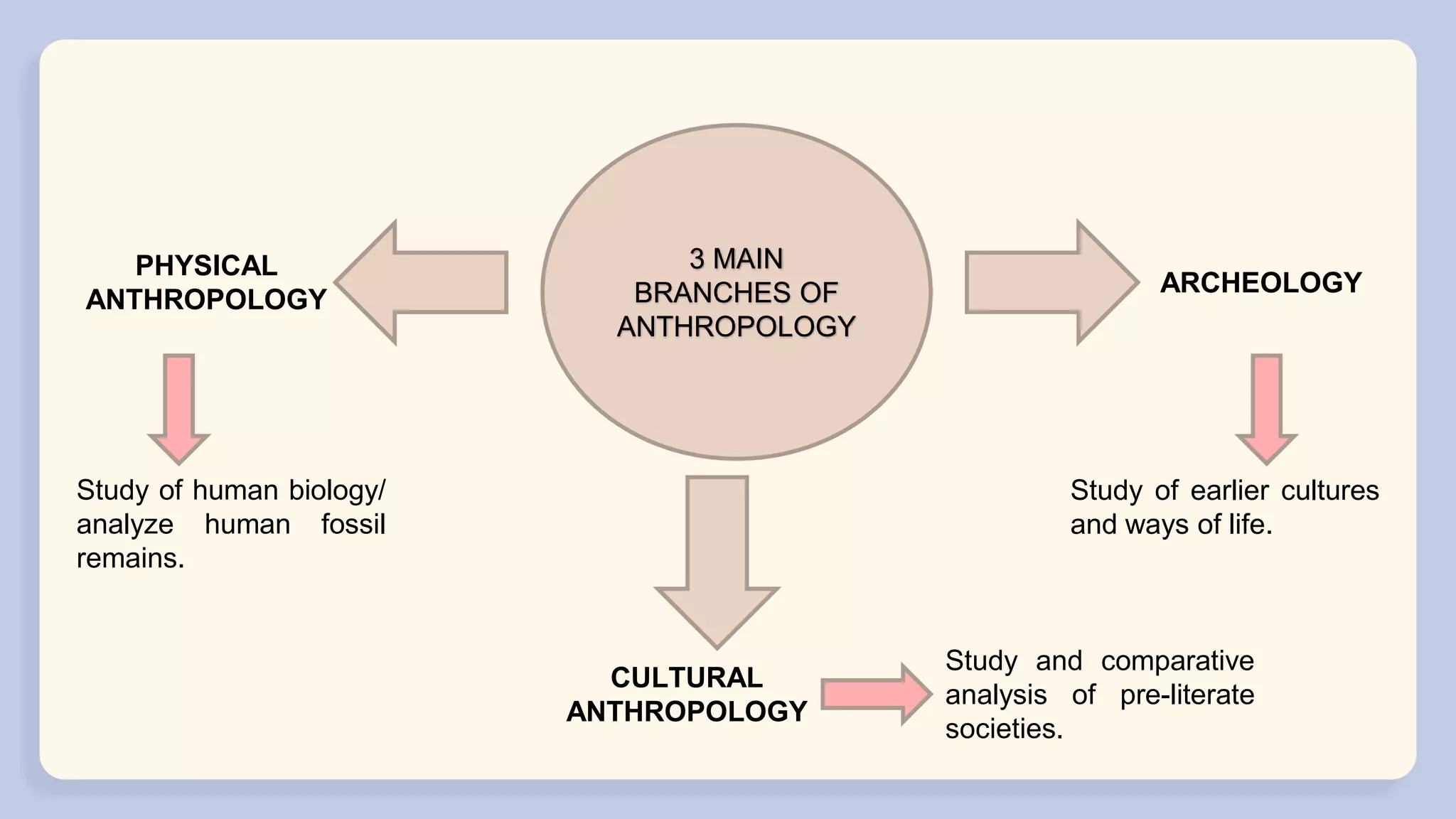 LESSON 2 DISCIPLINE AND IDEAS IN SOCIAL SCIENCE.pptx