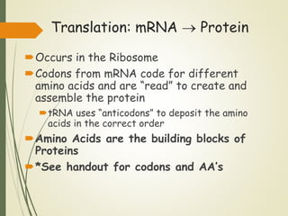 Protein Read Lesson 2 DNA and RNA.pptx