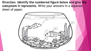 Direction. Identify the numbered figure below and give the
subsystem it represents. Write your answers in a separate
sheet of paper.
 