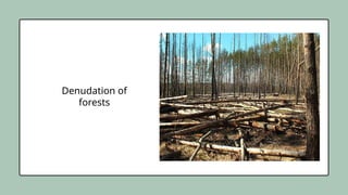 Denudation of
forests
 