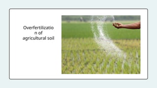 Overfertilizatio
n of
agricultural soil
 