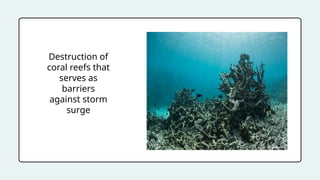 Destruction of
coral reefs that
serves as
barriers
against storm
surge
 