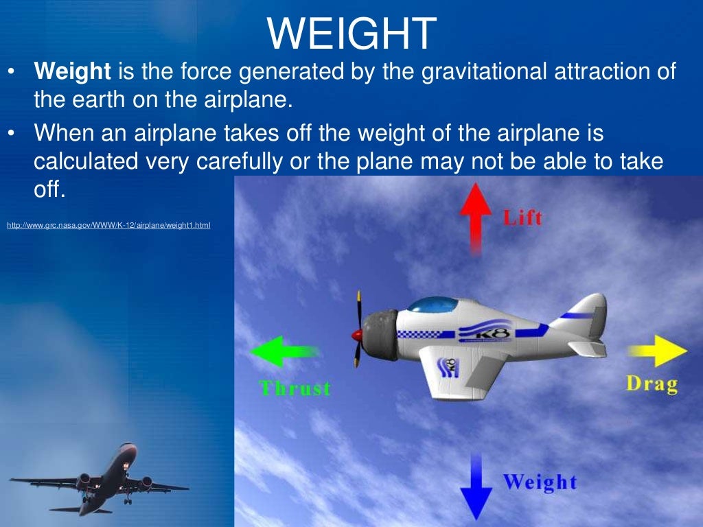 ( Lesson 2) forces of flight